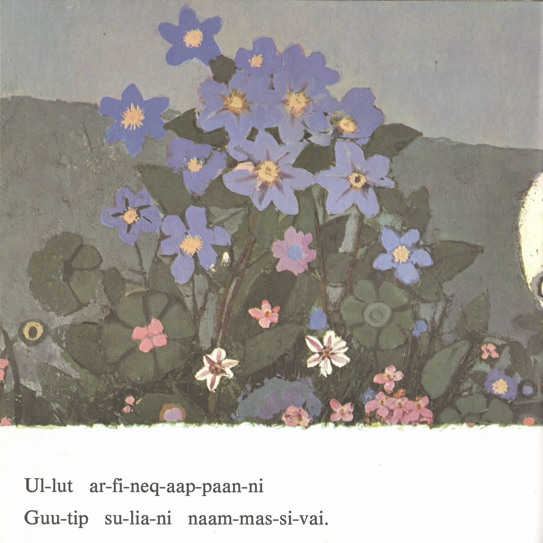 silarsuup pinngortitaanera