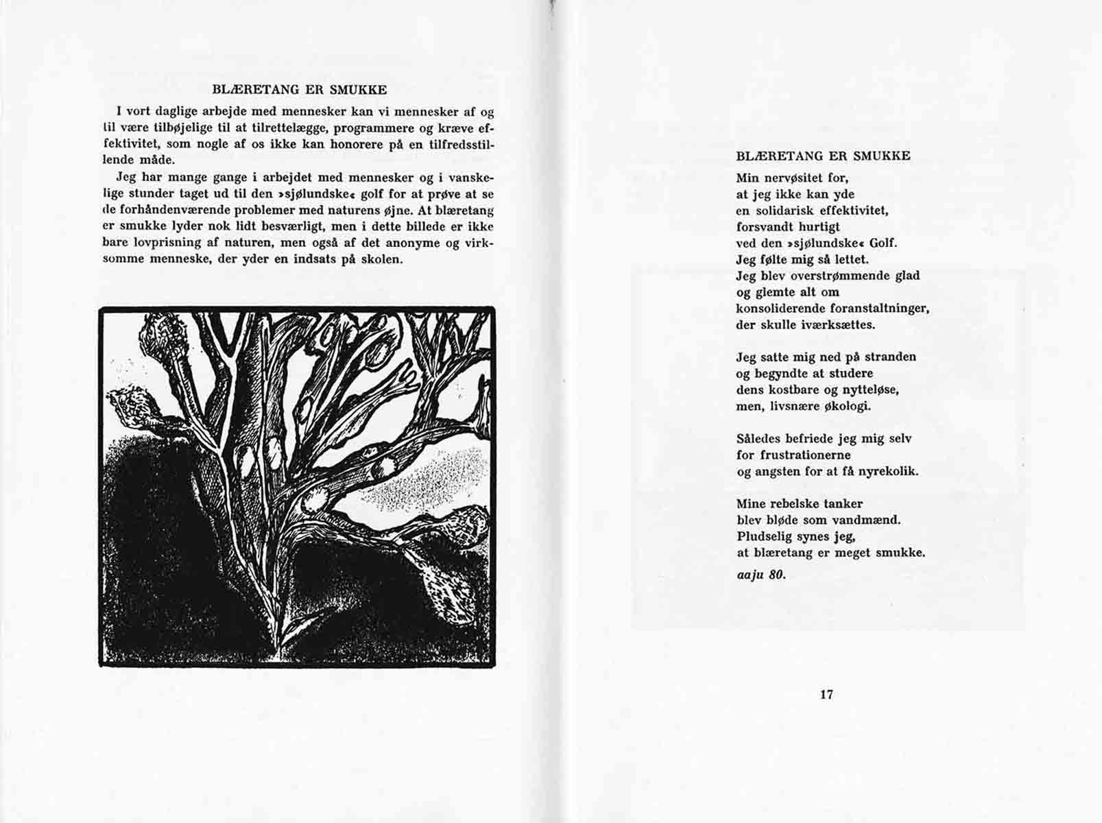 Skamlingsbanke Ungdomsskole 1980