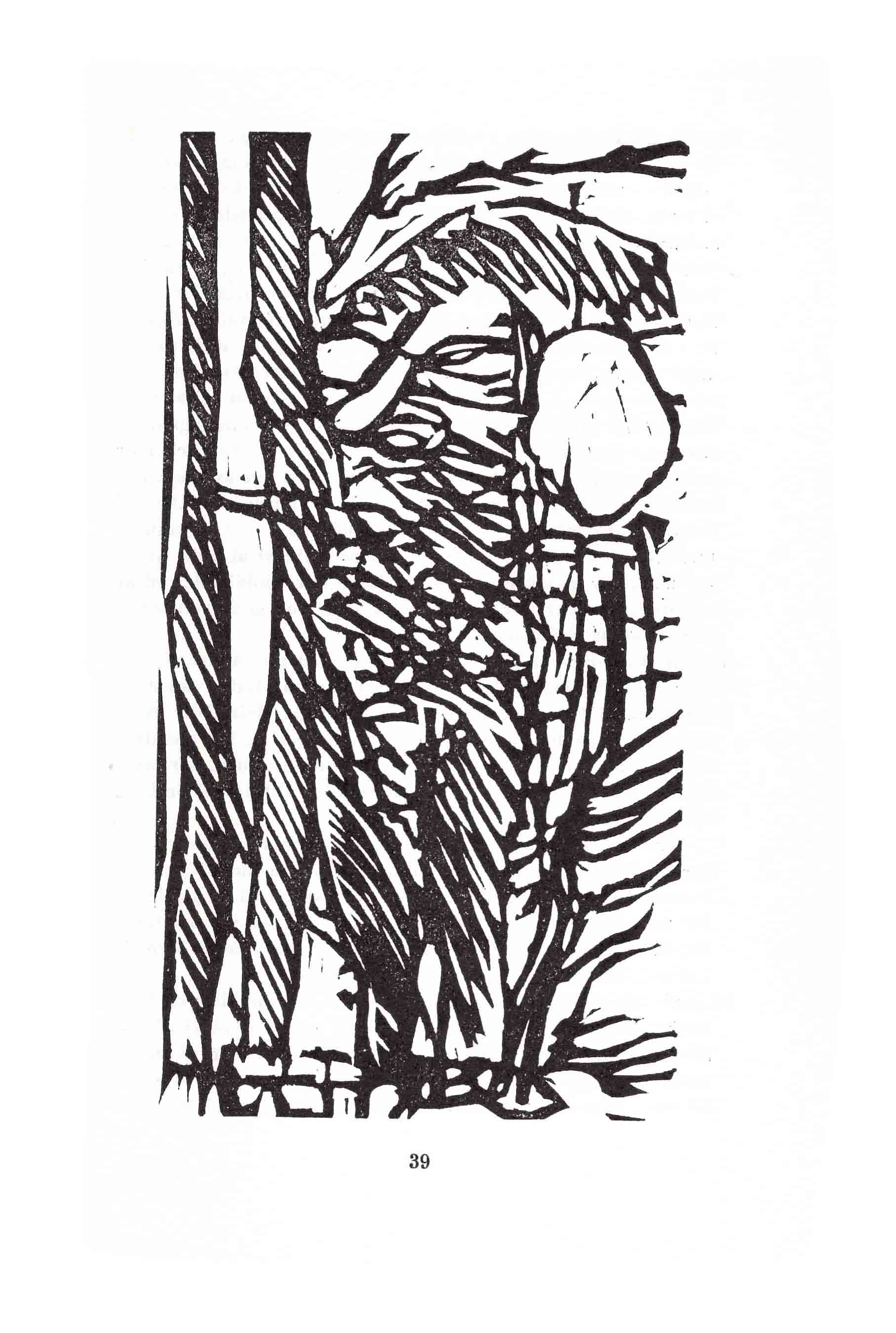 Skamlingsbanke Ungdomskskole 1982