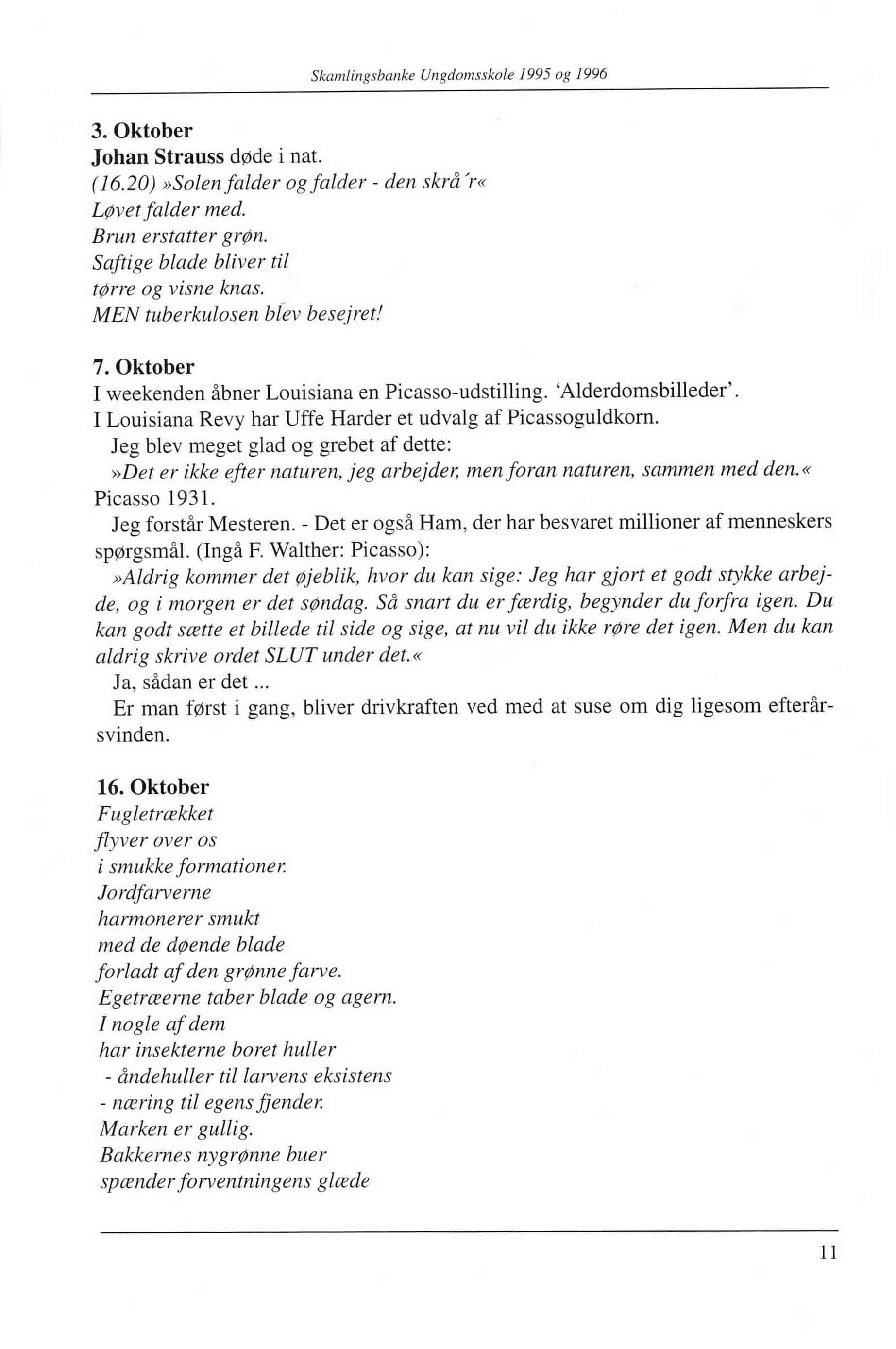 Skamlingsbanke ungdomsskole 95-96