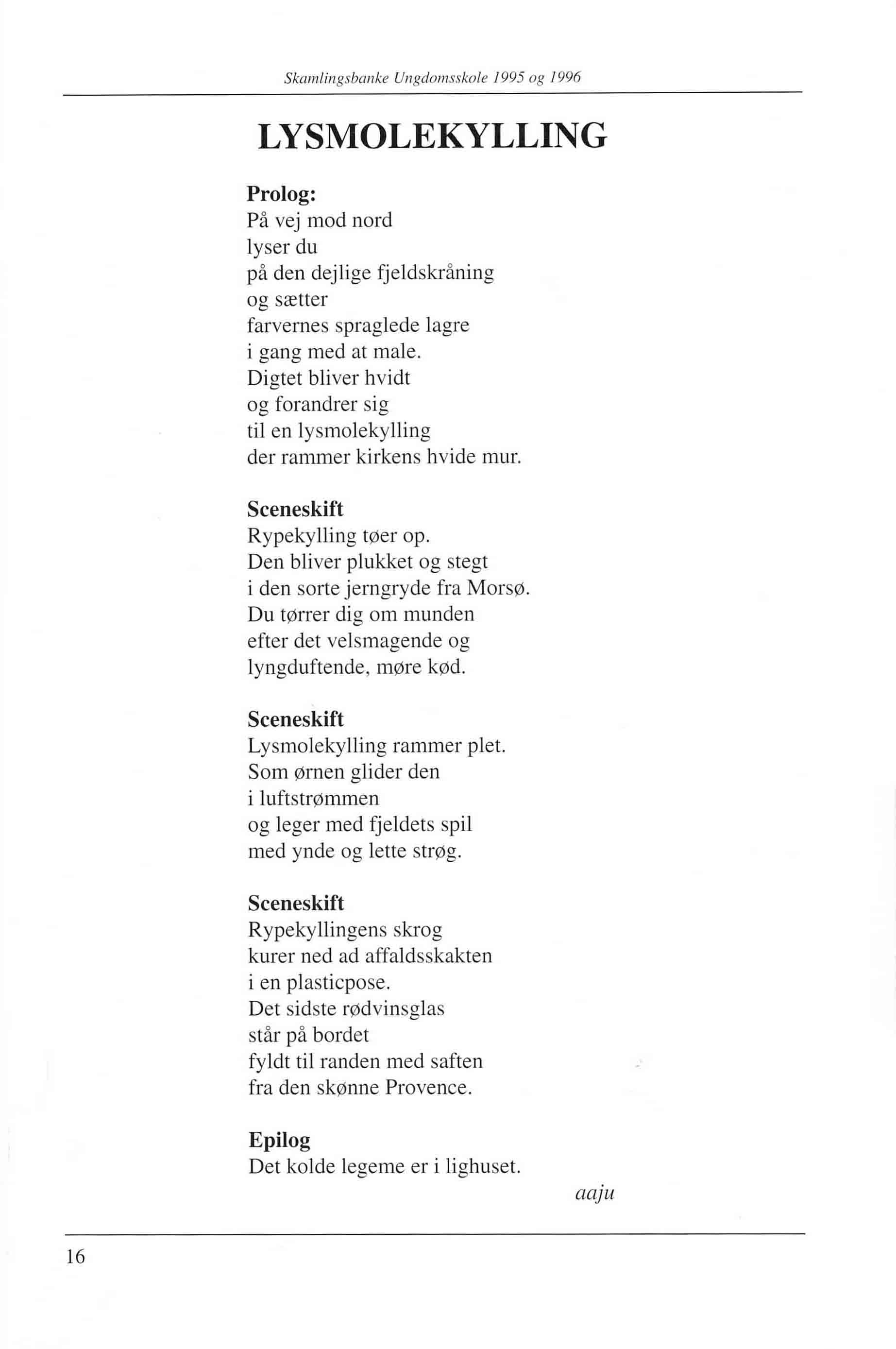 Skamlingsbanke ungdomsskole 95-96