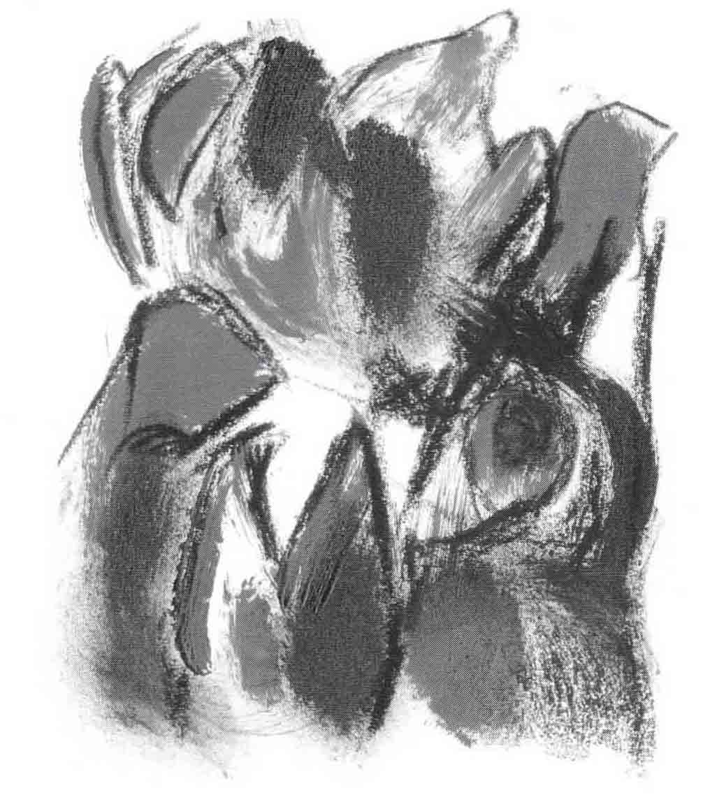 Skamlingsbanke ungdomsskole 1997