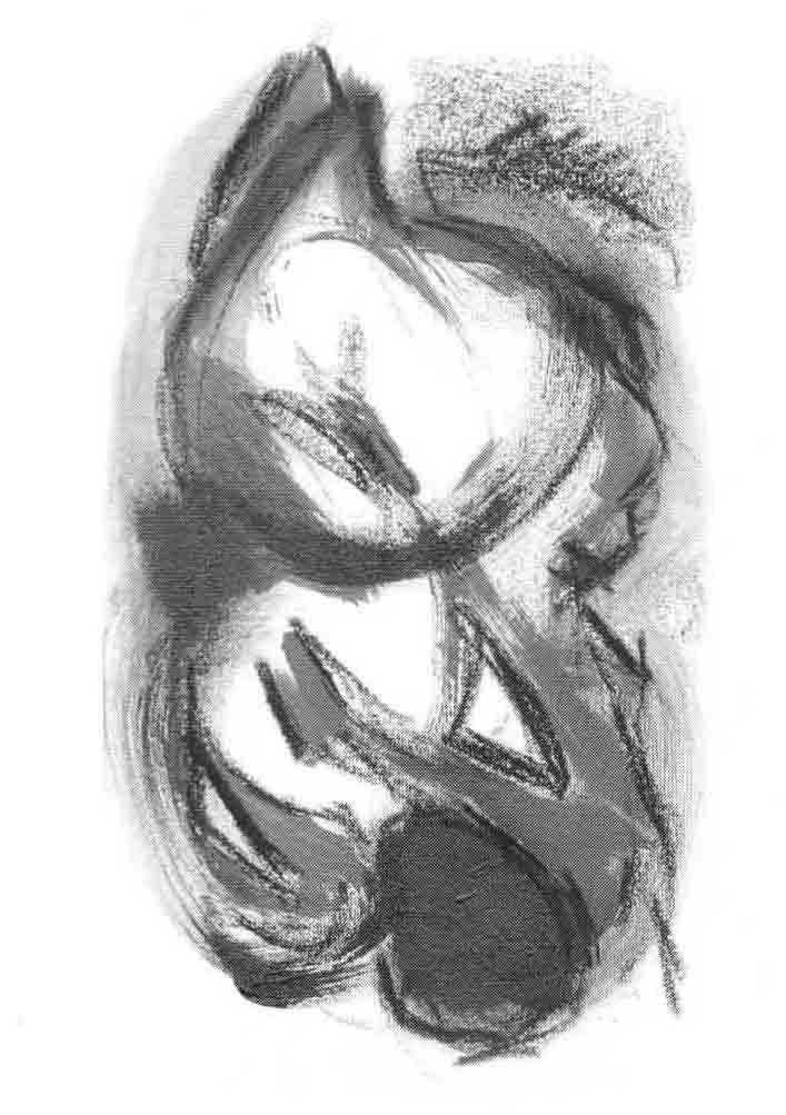 Skamlingsbanke ungdomsskole 1997