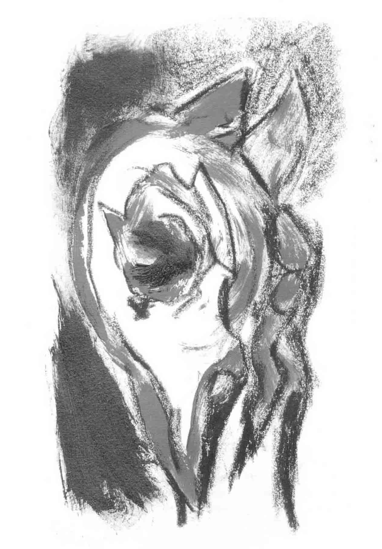 Skamlingsbanke ungdomsskole 1997