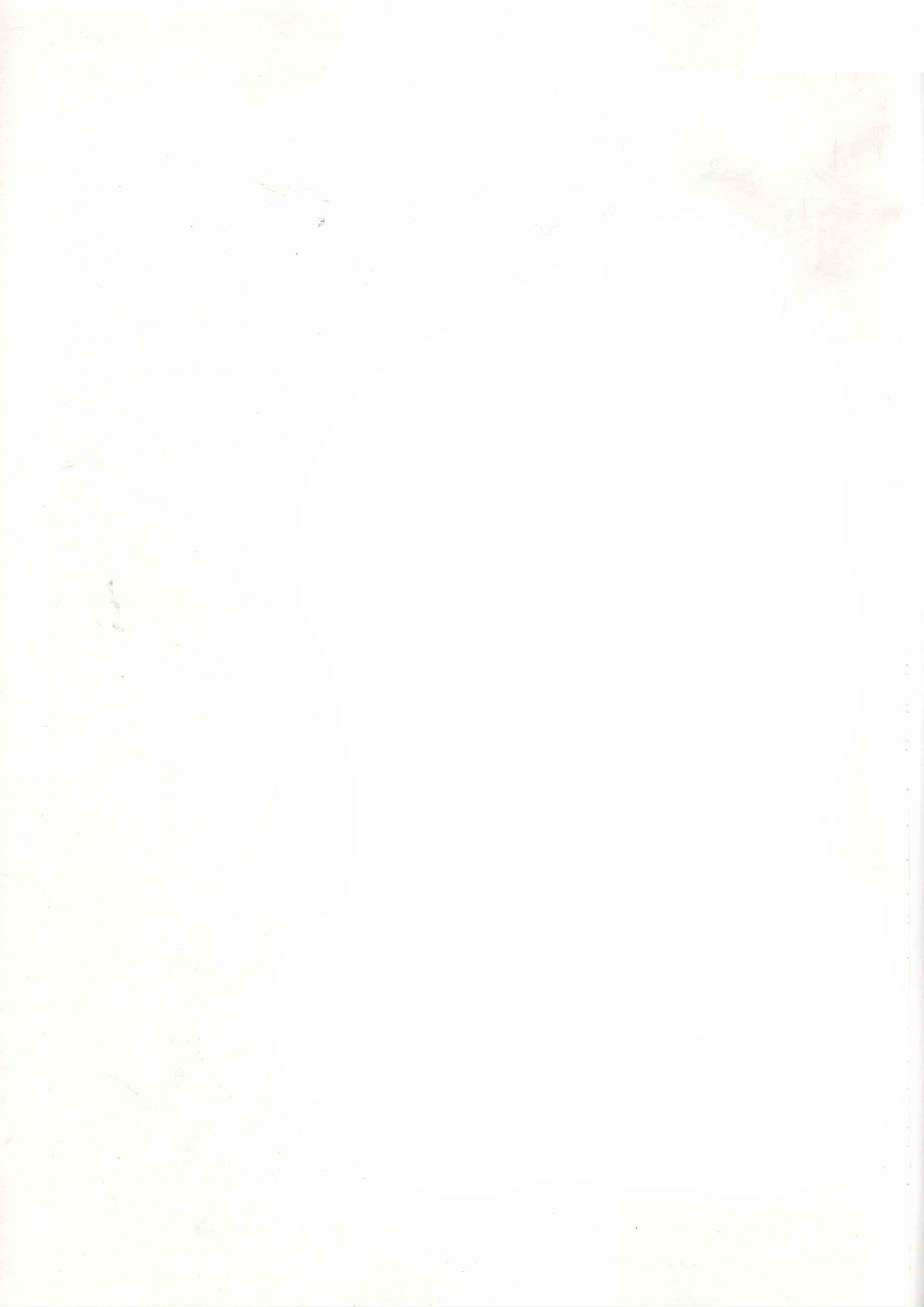 Sølvbryllup 3-4/1990 blank