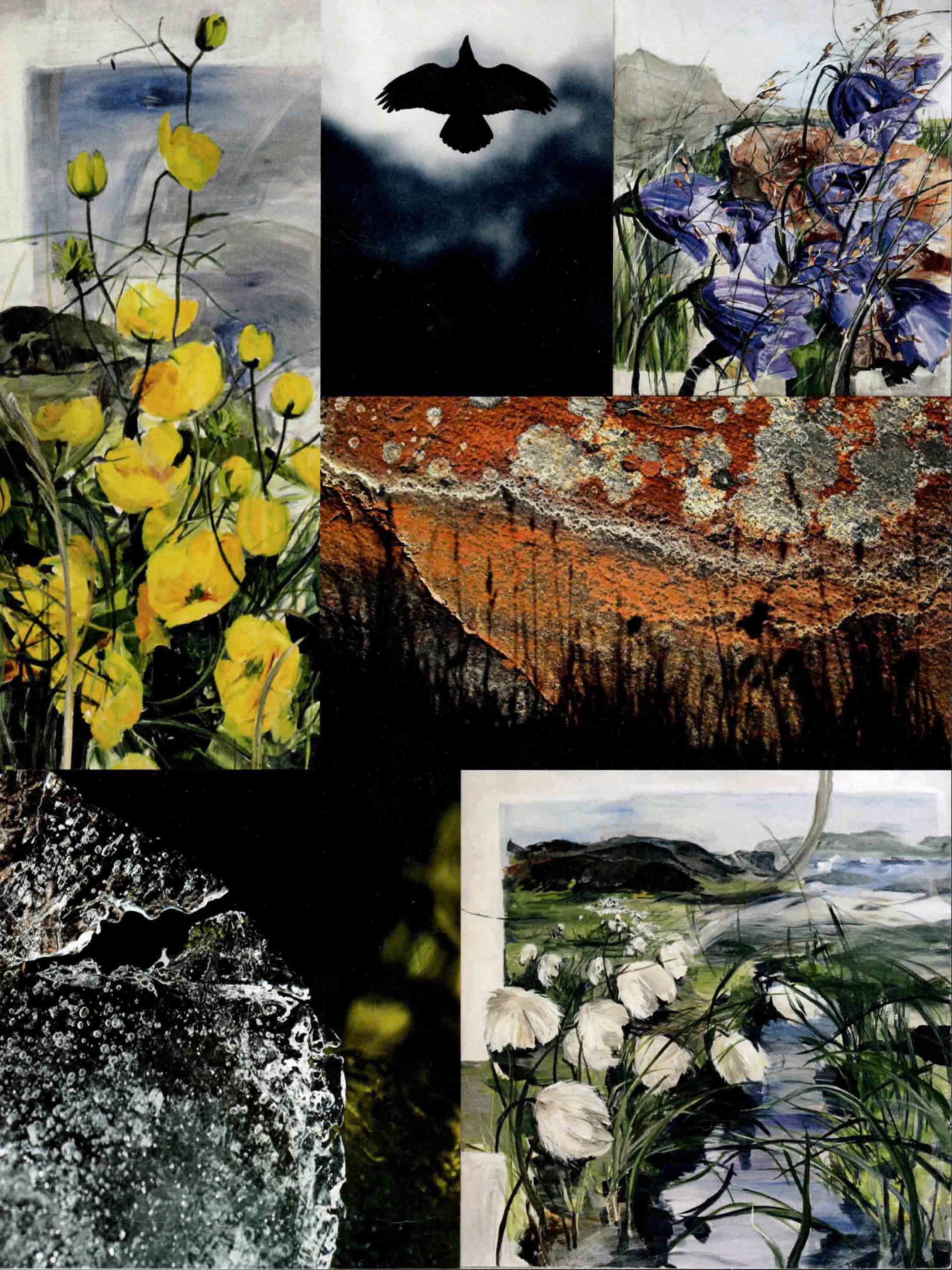 Niviarsiaq - Grønlands sjæl