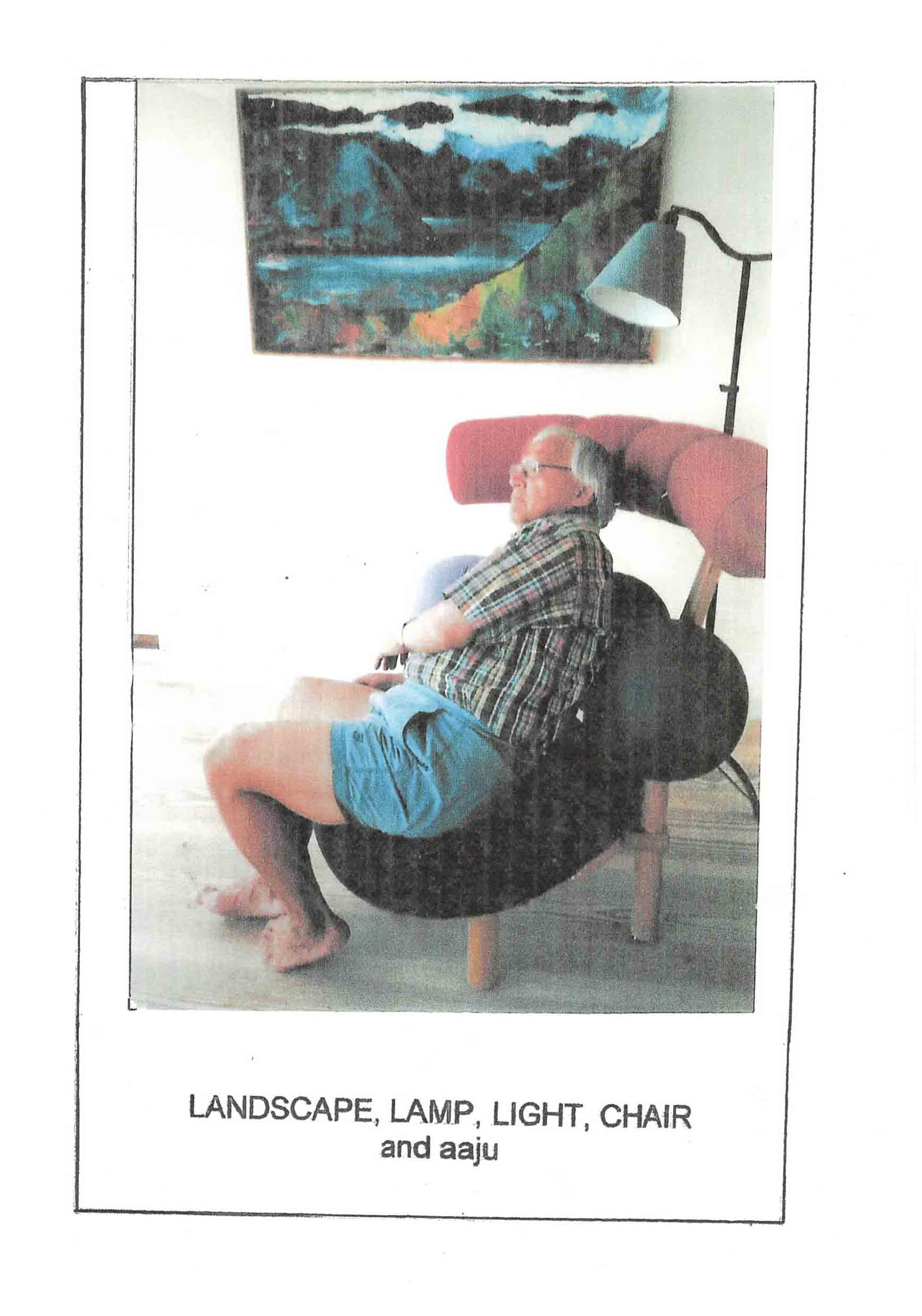 landscape, lamp, light, chair and aaju