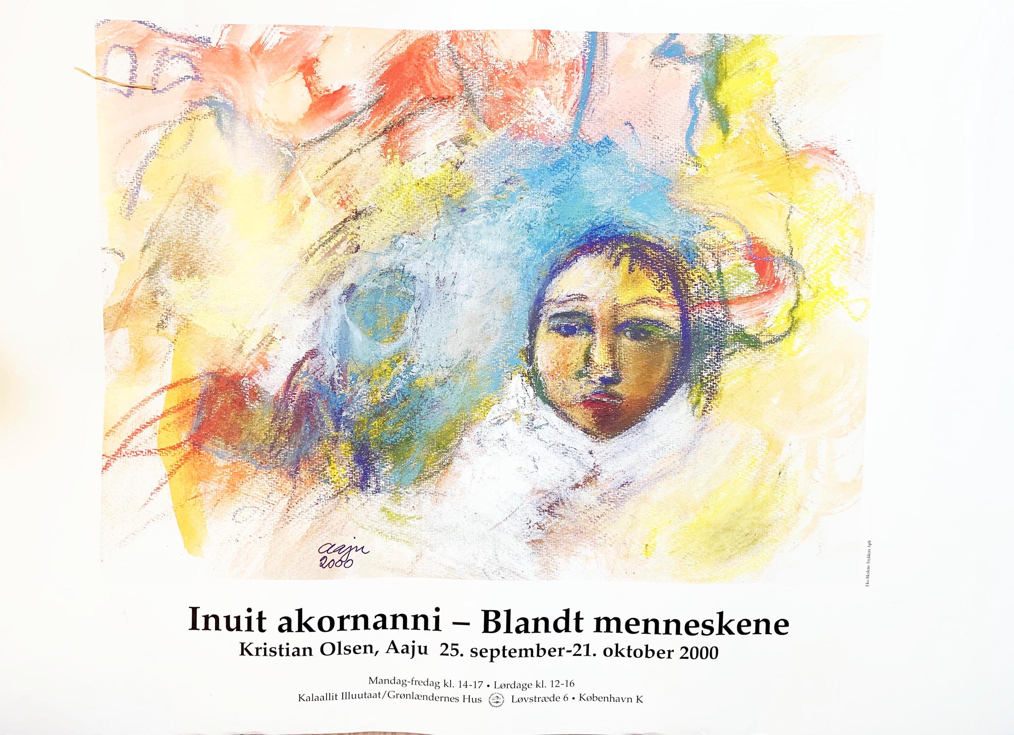 Udstilling på Greve Bibliotek, Portalen