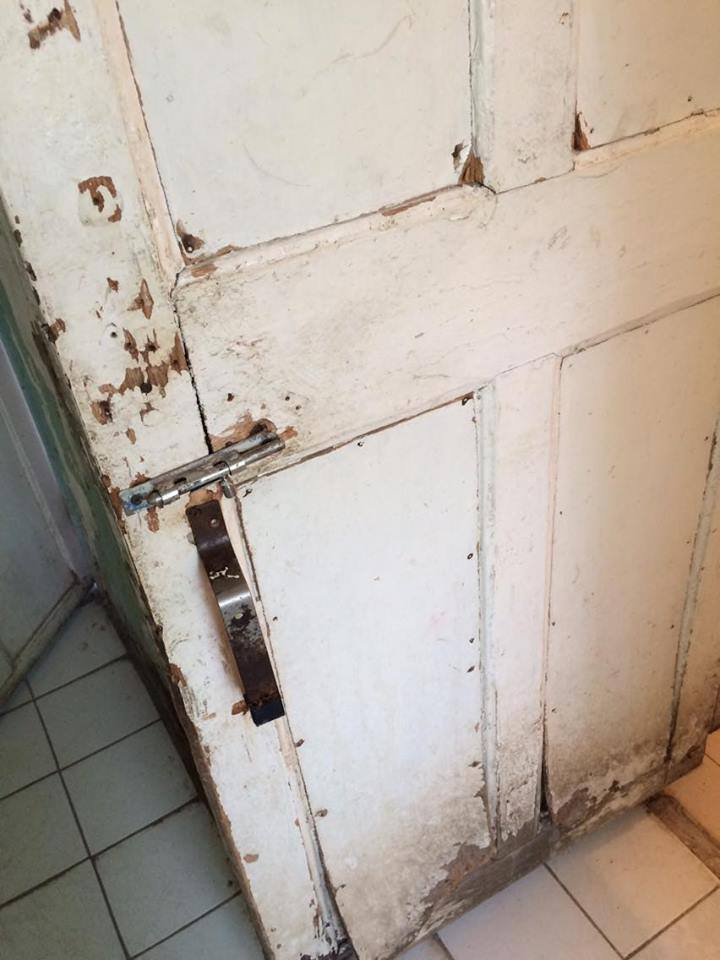 13680734_10209850452440064_8100565288043854828_n