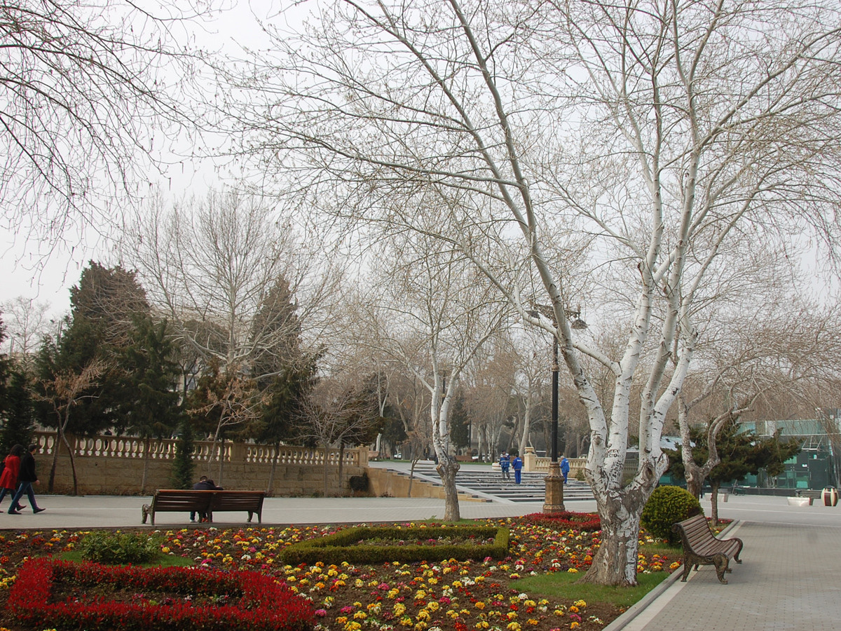 Havanın temperaturu 15 dərəcəyədək yüksələcək