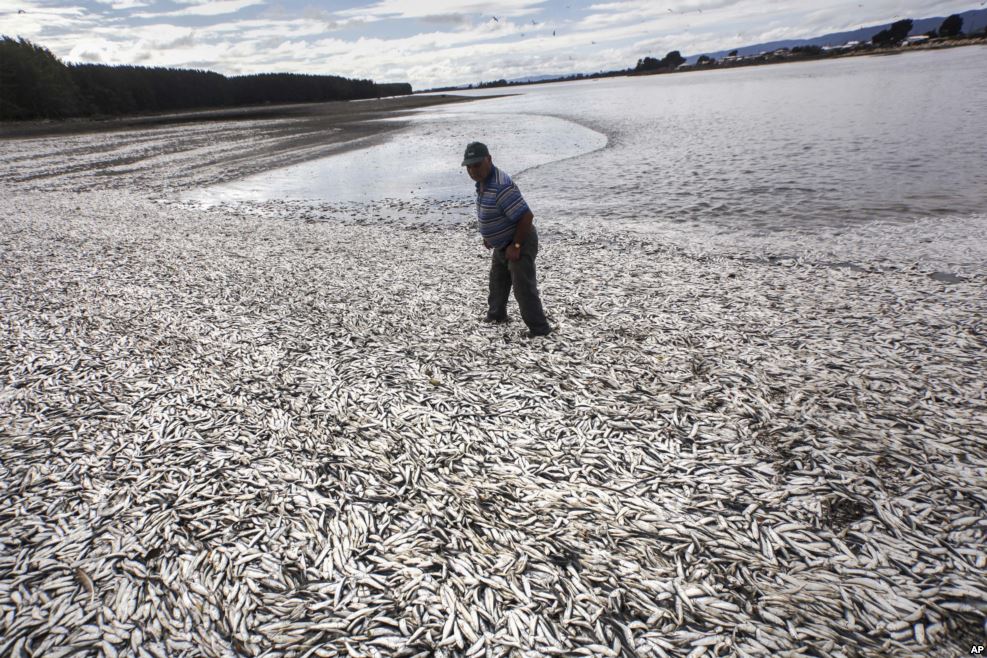 Dünyadan görüntülər