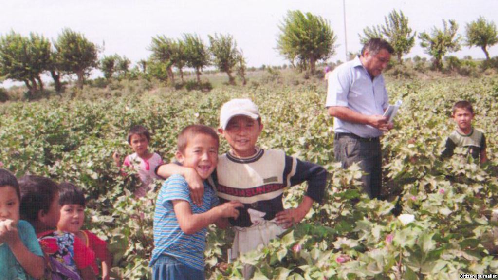ABŞ Özbəkistan pambığını “qara siyahı”dan çıxarıb