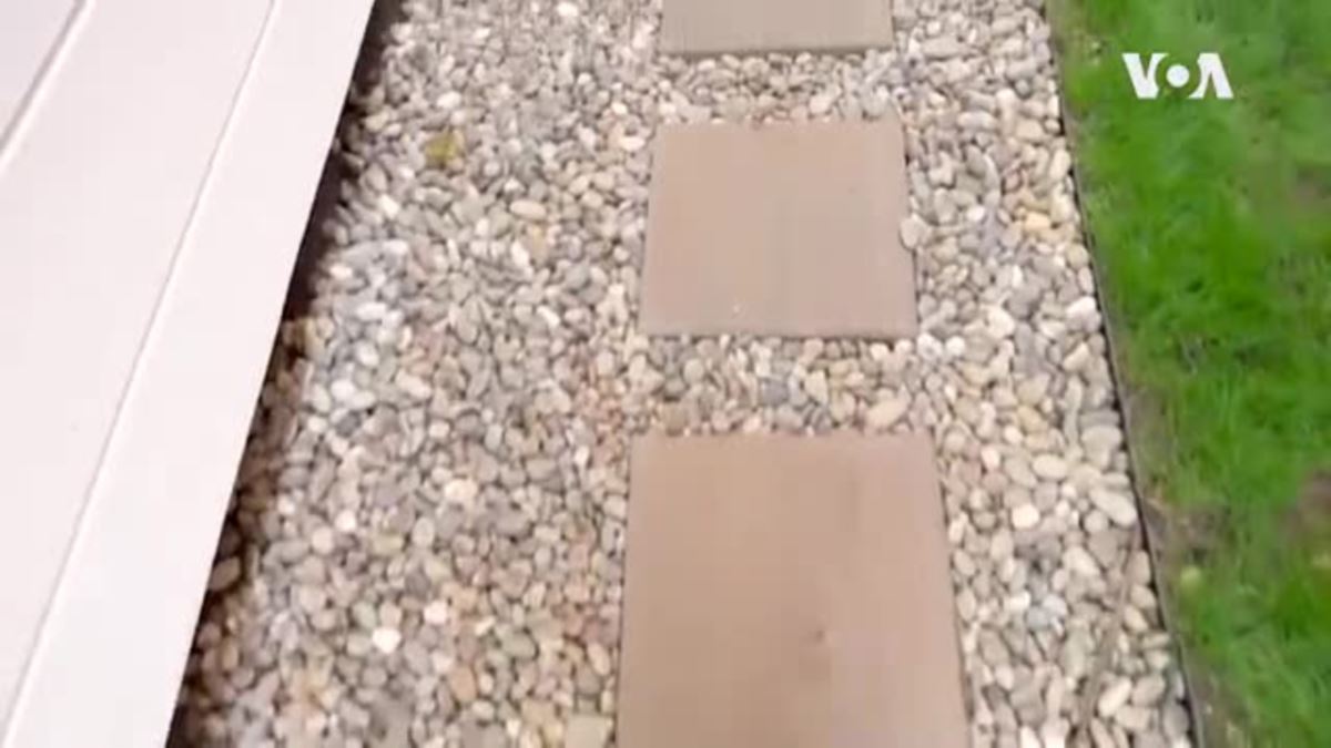 Göy qurşağı məktəbi