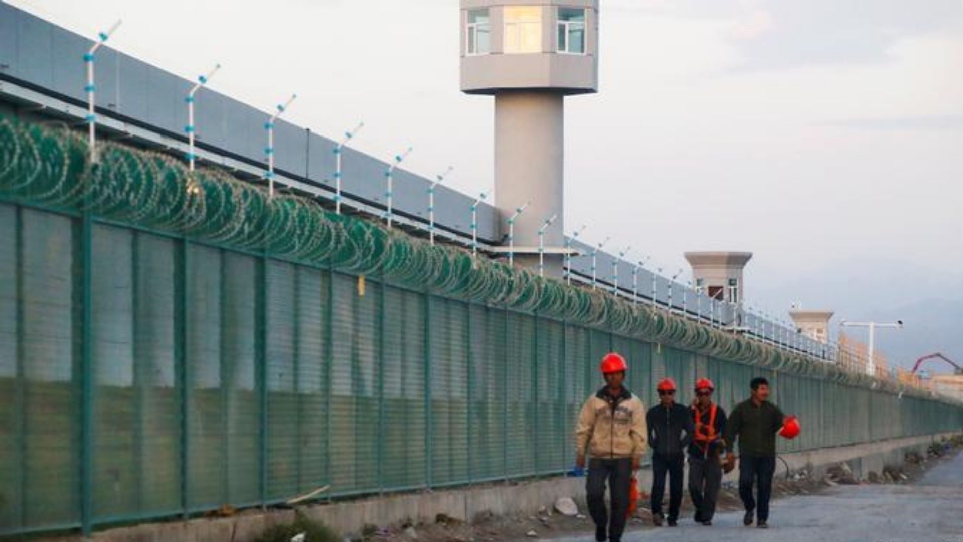 Çin yüzminlərlə uyğuru pambıq tarlalarında zorla işlədir