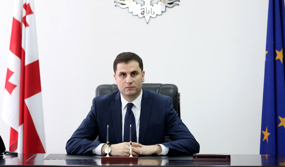Gürcüstan daxili işlər nazirinin birinci müavini istefaya göndərildi