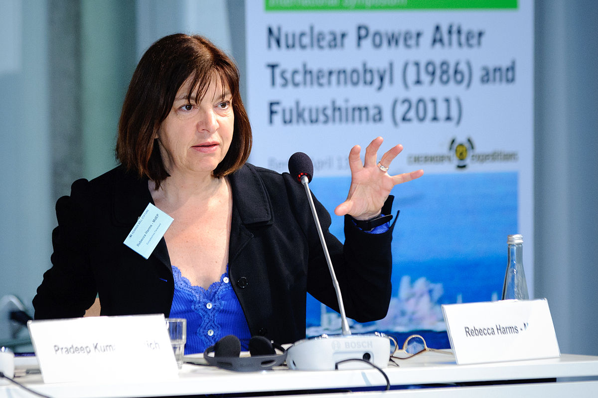 Avropa Parlamenti Mehman Hüseynov məsələsini müzakirəyə çıxarır