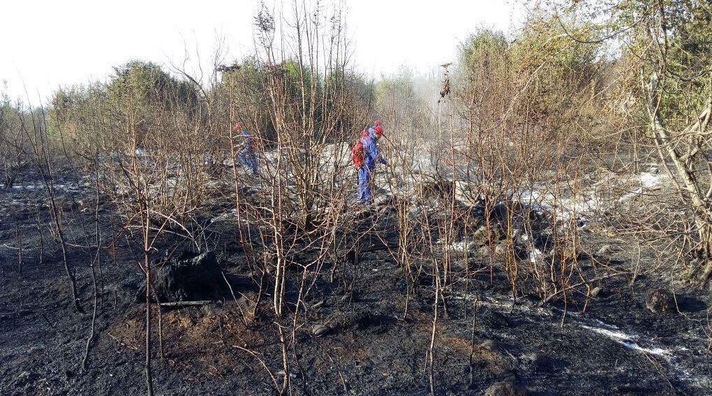 Oğuz meşəsində baş verən yanğın tam söndürülüb
