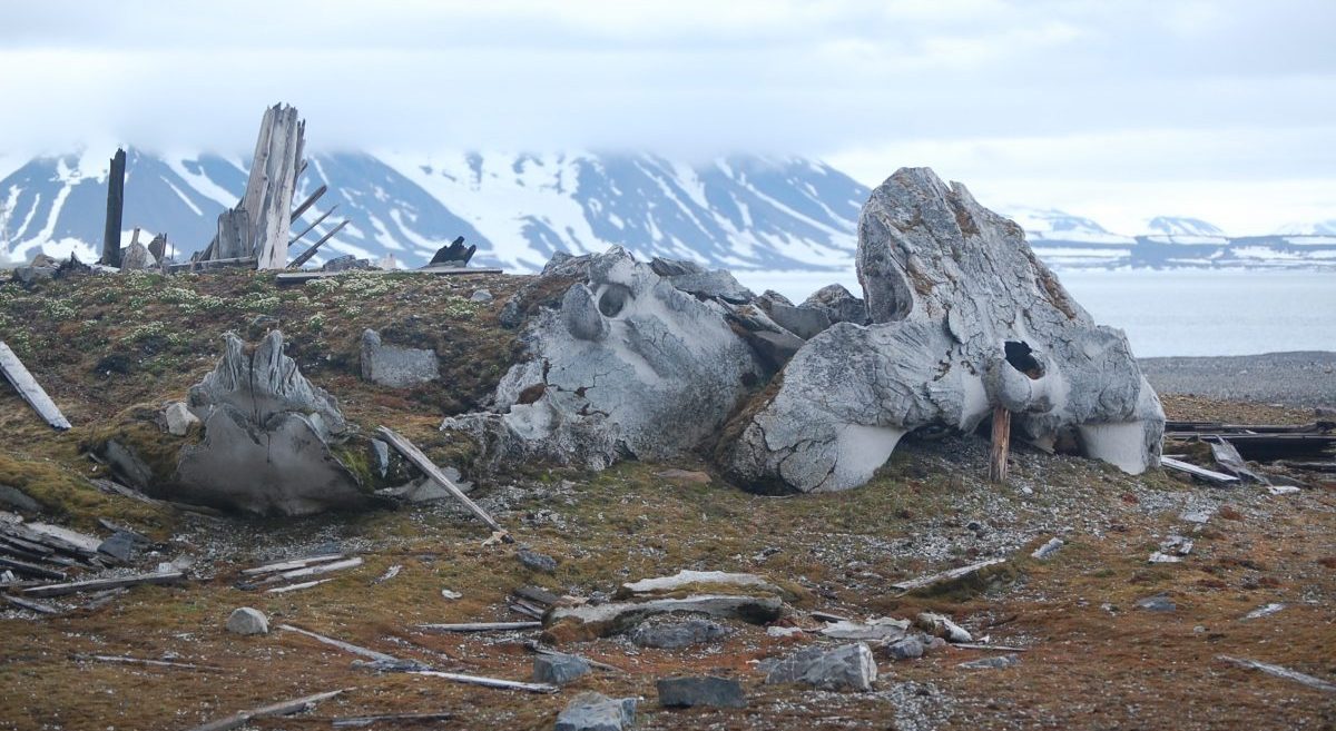 Qlobal istiləşmə dünya arxeoloji mirasını təhdid edir