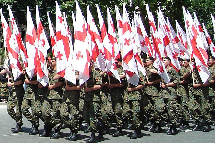 Gürcüstanda ödənişli hərbi xidmət tətbiq olunacaq