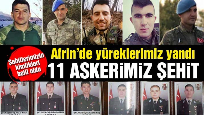 Afrində bir gündə 11 türk hərbçisi şəhid olub