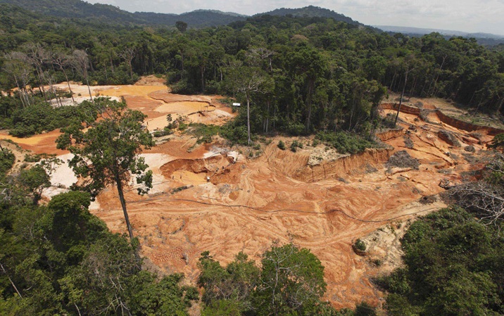 Amazonda meşələrin qırılması sürətlə artır