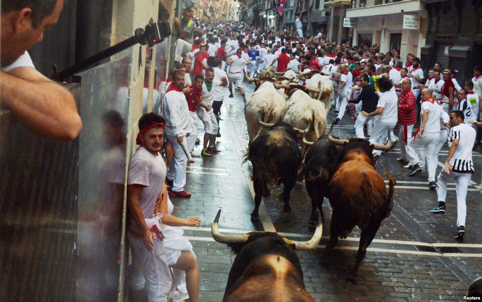 San Fermin festivalı (fotolar)