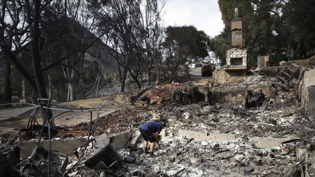 Kaliforniyada ölənlərin sayı 56-ya çatıb