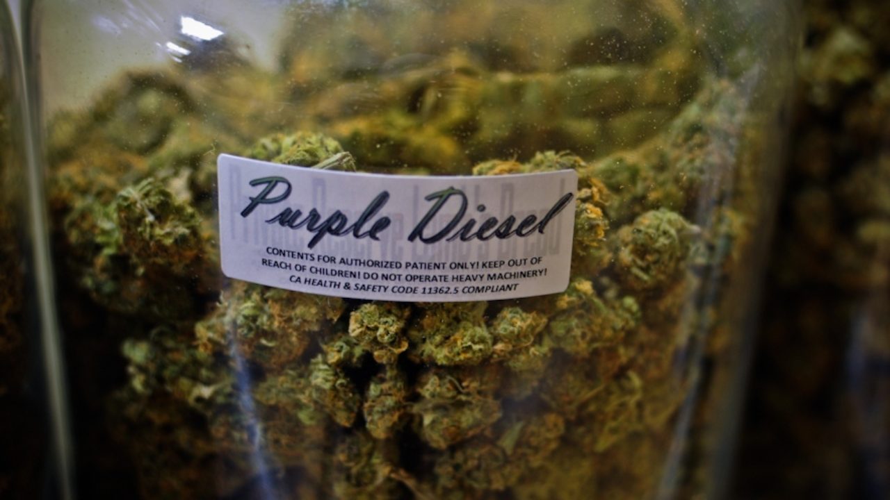 Yeni Zelandiya marixuananın istehsalına və satışına icazə verən qanun qəbul edib