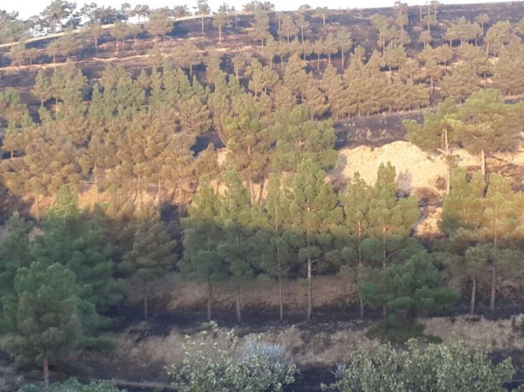 ETSN Şabran rayonunda baş verən yanğınla bağlı məlumat yayıb