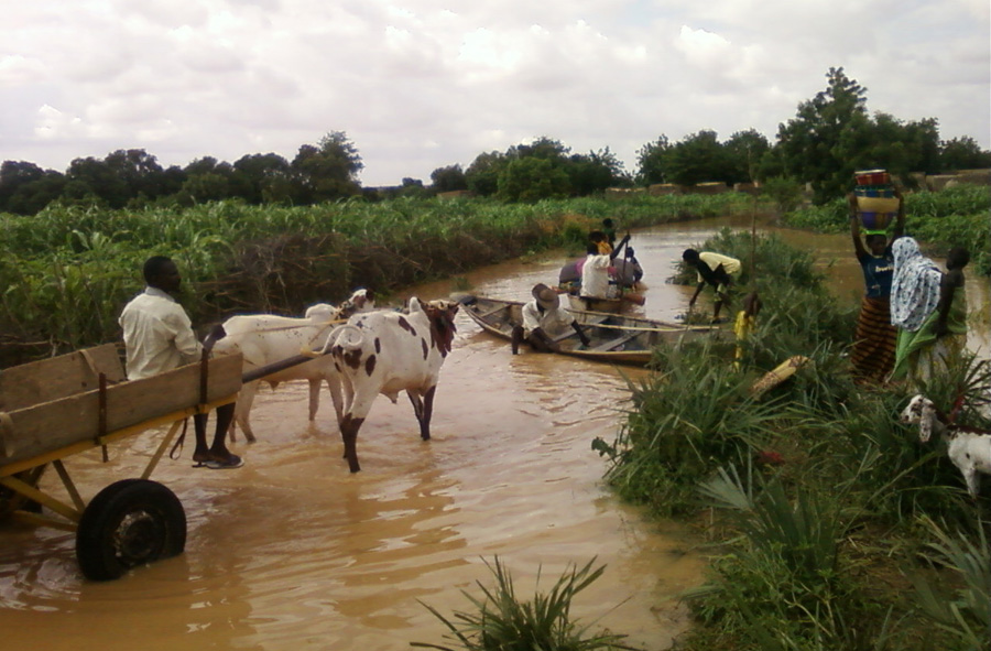 Nigerdə baş verən daşqınlar zamanı 38 nəfər ölüb