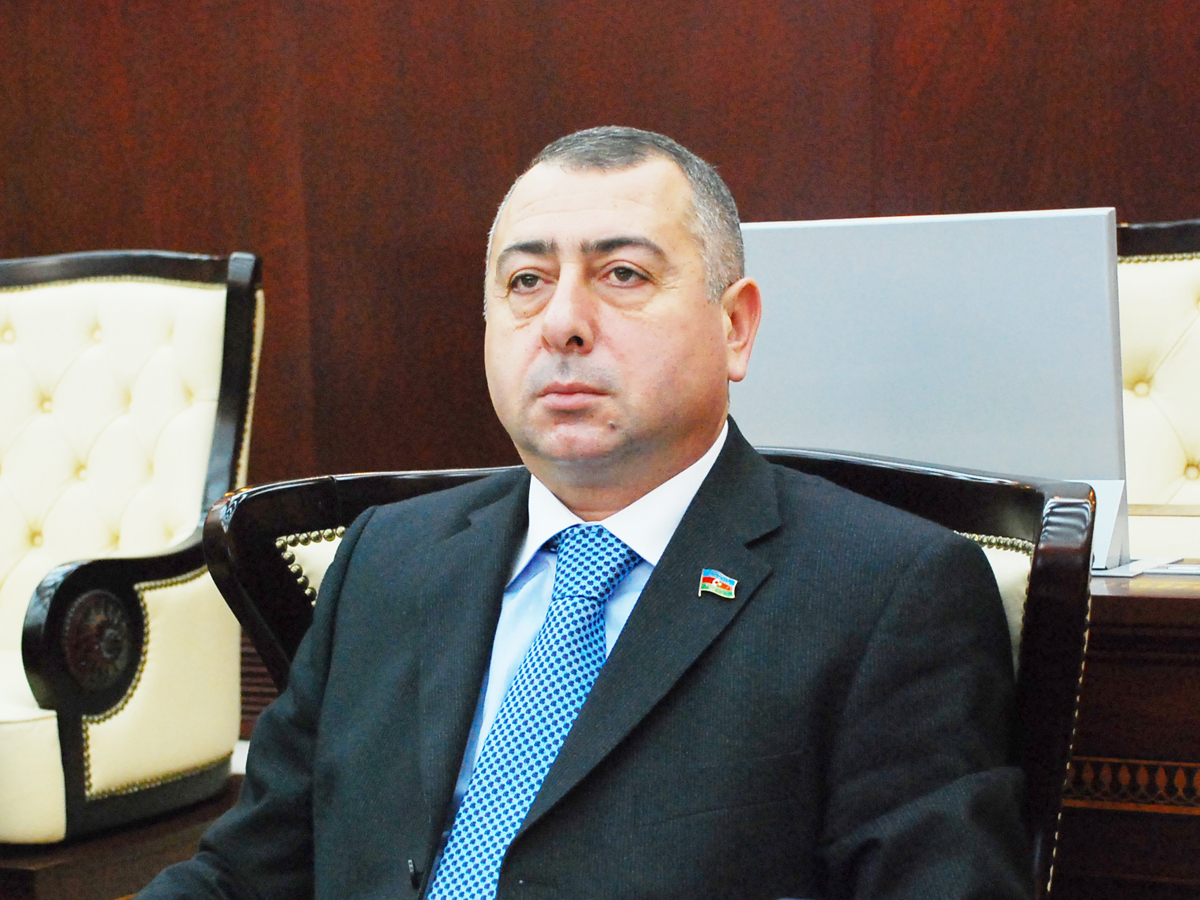 Deputat: "Nümayəndəlik institutunun vəkillik institutu ilə əvəzlənməsindən söhbət gedir"