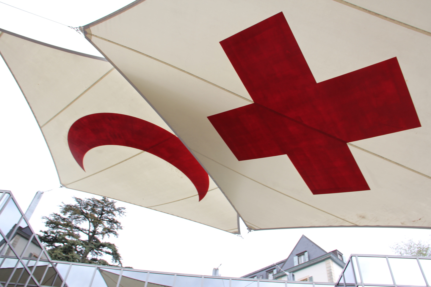 Beynəlxalq Qızıl Xaç və Qızıl Aypara Cəmiyyətləri Federasiyasına yeni prezident seçilib