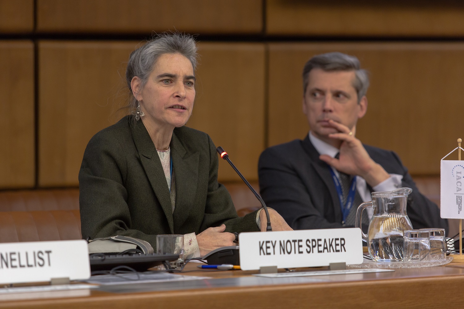 Sarah Chayes: "Bu Qərb demokratiyasına təhlükədir"