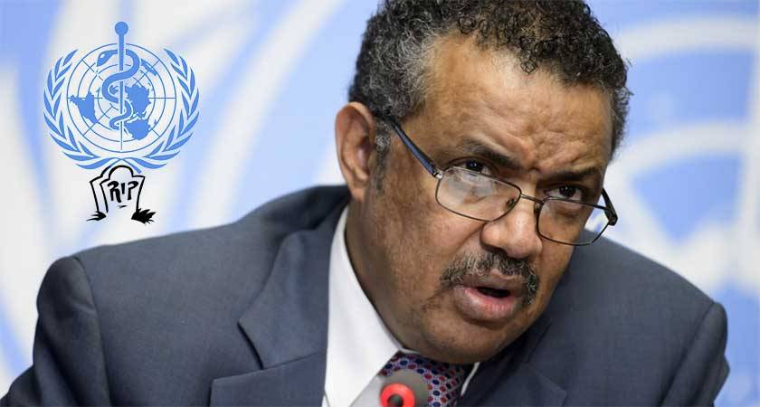 ÜST-nin yeni baş direktoru səlahiyyətlərinin icrasına başlayıb