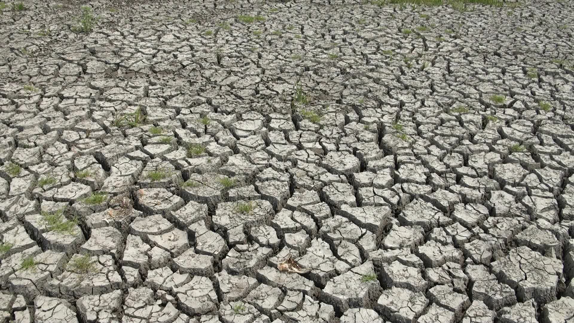 Keniya quraqlıqla əlaqədar milli fəlakət elan edib