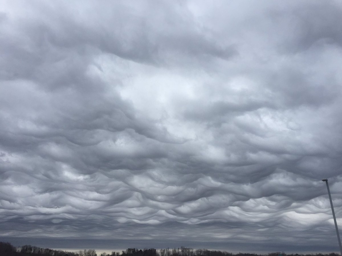 12 növ yeni buludun yer aldığı atlas nəşr edilib