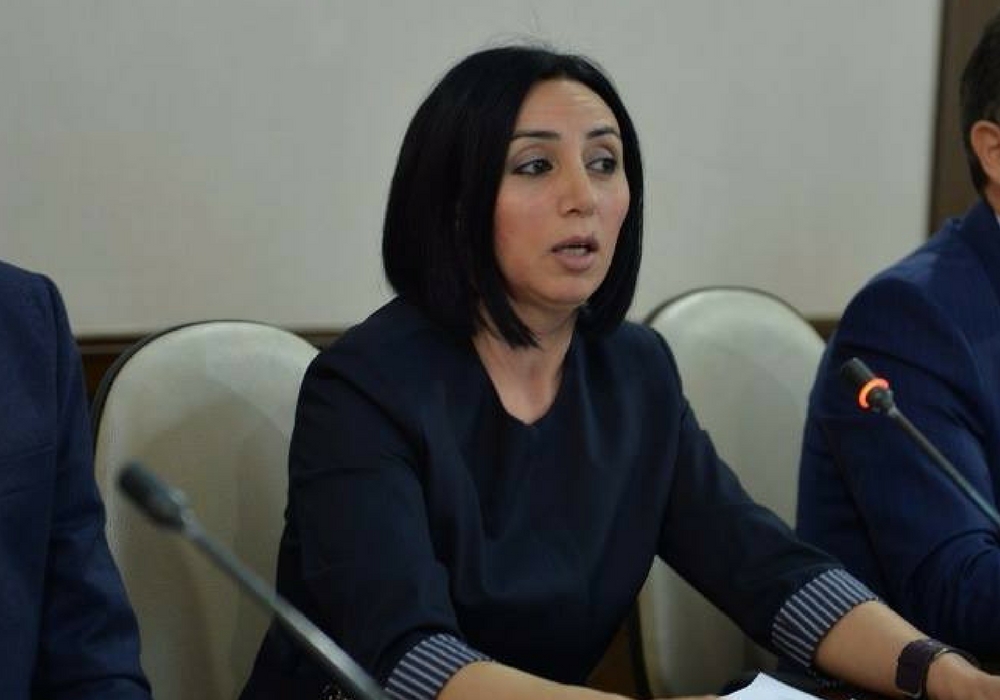 'Dövlət güvənc yerimiz olmalıdır, ancaq bizi əzən mexanizmə çevrilib' [Müsahibə]