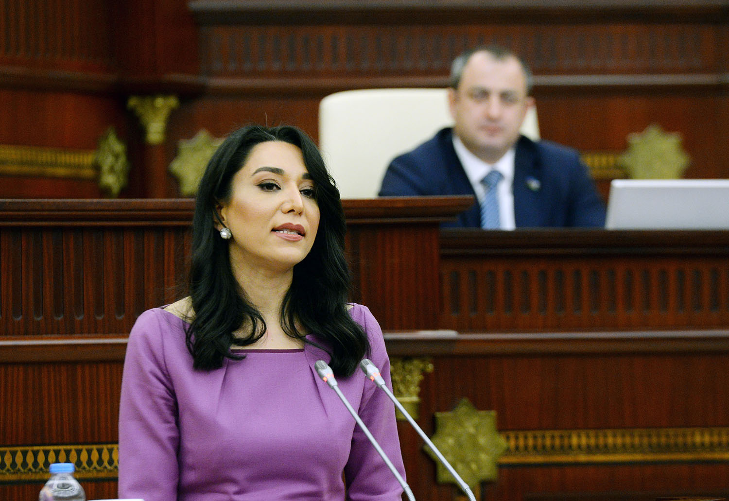 Ombudsman Aparatı rəsmi qurumlarla bağlı şikayətlərə niyə baxmır?
