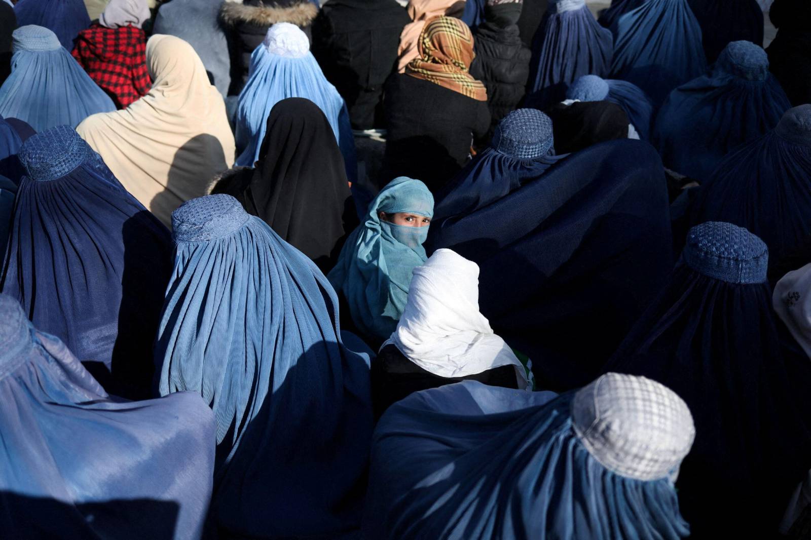 Taliban qadın müəlliflərin kitablarını və insan hüquqları ilə bağlı dərsləri qadağan edib