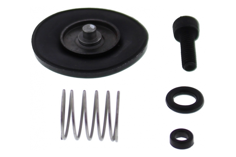 ACCELERATOR PUMP REBUILD KIT 46-3006