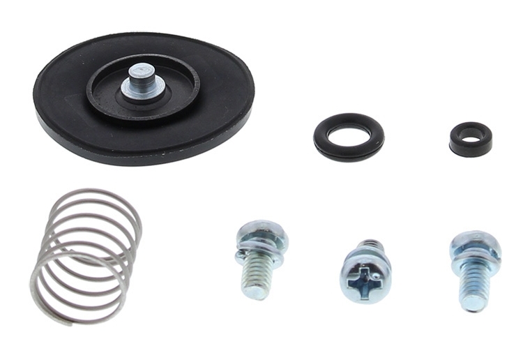 ACCELERATOR PUMP REBUILD KIT 46-3001