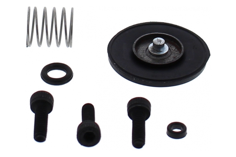 ACCELERATOR PUMP REBUILD KIT 46-3008