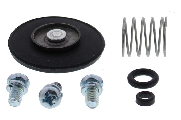 ACCELERATOR PUMP REBUILD KIT 46-3002