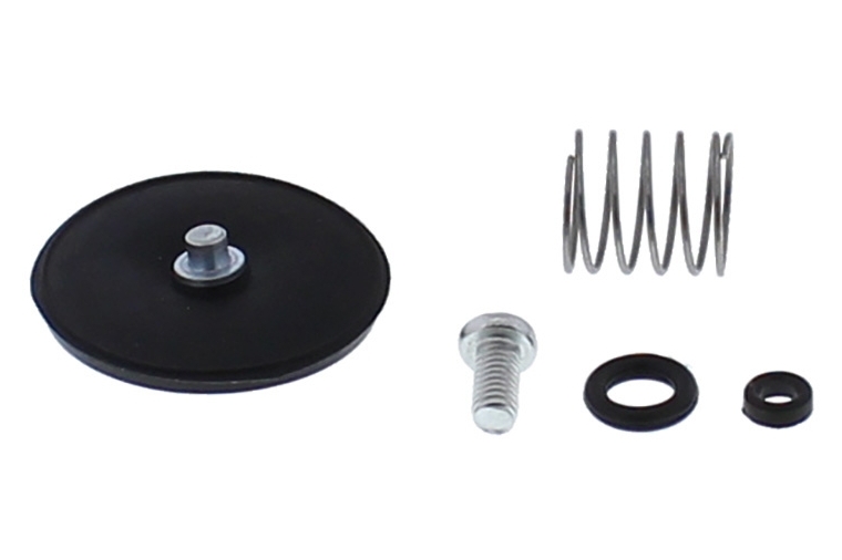 ACCELERATOR PUMP REBUILD KIT 46-3007