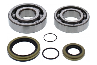 BEARING CRANKSHAFT 24-1118