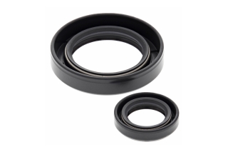 CRANK SHAFT SEAL KIT 24-2010
