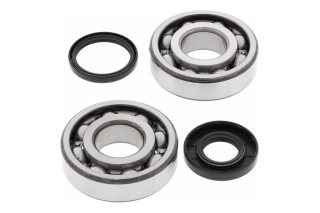 CRANK SHAFT BEARING KIT 24-1107