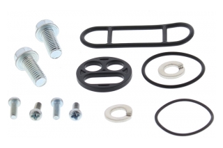 FUEL TAP REPAIR KIT 60-1018