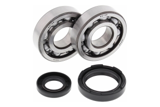 CRANK SHAFT BEARING KIT 24-1027
