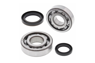 CRANK SHAFT BEARING KIT 24-1091